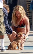 Ashley Tisdale アシュレイ・ティスデイル